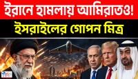 ইসরায়েলের সঙ্গে মিলে ইরানে একাধিক হামলা চালিয়েছে আরব আমিরাত: ওয়াল স্ট্রিট জার্নাল