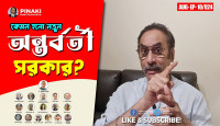 নতুন অন্তর্বর্তীকালীন সরকার কেমন হলো?